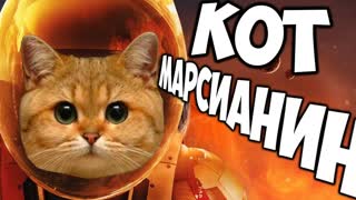 Запустили КОТИКА в Космос - MewnBase