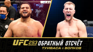 UFC 293: Обратный отсчет - Туиваса vs Волков