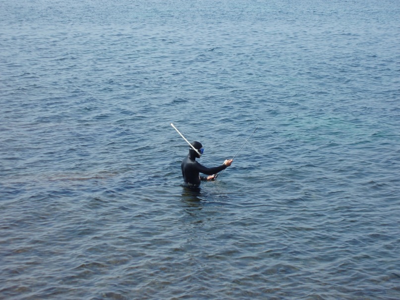 Дмитрий Тх фотография #22