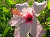 Фотография Синяковой Александры