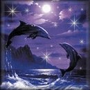 Юліана Семенюк фотография #14 (источник - https://vk.com/id169308607)