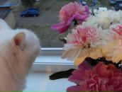 Фотография Серебряковой Анюты