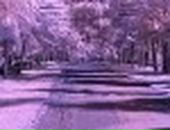 Ірина Тихоненко фотография #24 (источник - https://vk.com/id112132375)