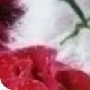 Пєтя Сверба фотография #41 (источник - https://vk.com/id19829246)