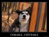 Віталік Вольт фотография #31 (источник - https://vk.com/id2228781)