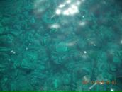 Фотография Кадочникова Алексея