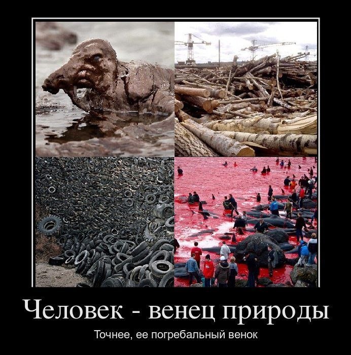 Дмитрий Антоненко фотография #14
