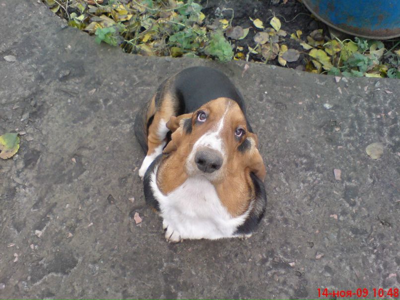 Владислав Федорук фотография #13