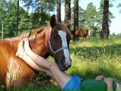 Фотография Белоусов Сергей