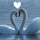 Галя Стаднік фотография #8 (источник - https://vk.com/id93456551)