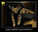 Славік Славік фотография #28 (источник - https://vk.com/id151660371)