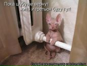 Фотография Сальниковой Аллы