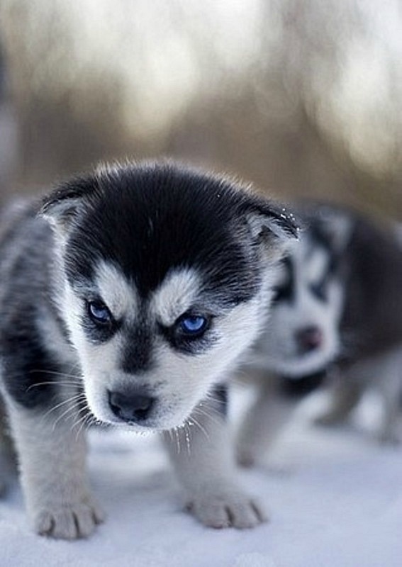 Олег Д фотография #38