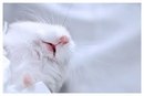 Фотография Зыкова Вера