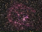 Фотография Савушкина Кирилла