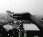 Фотография Валиулова Сергея