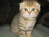 Фотография Кузнецовой Ольги