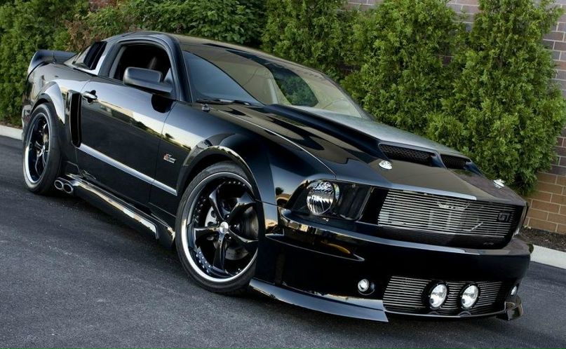 Сергей Ковалевич фотография #34