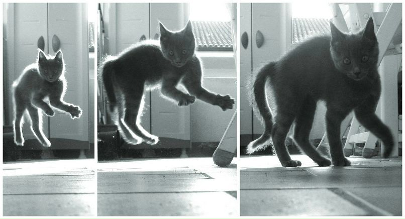 Надя Ka фотография #50