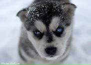 Андрій Пехник фотография #28 (источник - https://vk.com/id141641345)