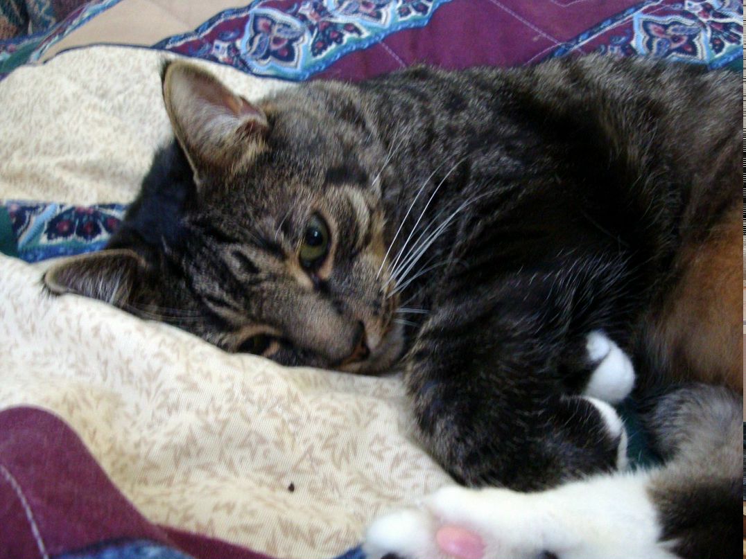 Maria Markova фотография #44