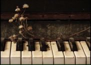 Фотография Фещенко Алёны