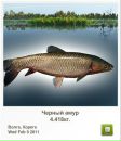 Андрій Кирилич фотография #39 (источник - https://vk.com/id72602419)