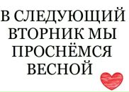 Фотография Шиняевой Алины