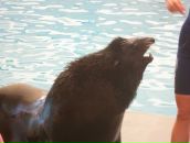 Нюта Якубів фотография #14 (источник - https://vk.com/id63750607)