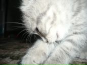 Фотография Зиннуровой Эльвиры