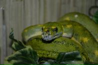 Сергій Момот фотография #31 (источник - https://vk.com/id3990608)