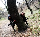♥ляля Мармеладова♥ фотография #39 (источник - https://vk.com/id147252785)