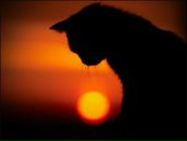 Фотография Малхосьяна Дмитрия