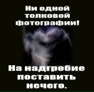 Фотография  