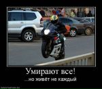 Tol Ya фотография #37 (источник - https://vk.com/id14660620)