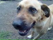 Фотография Лекомцева Антона