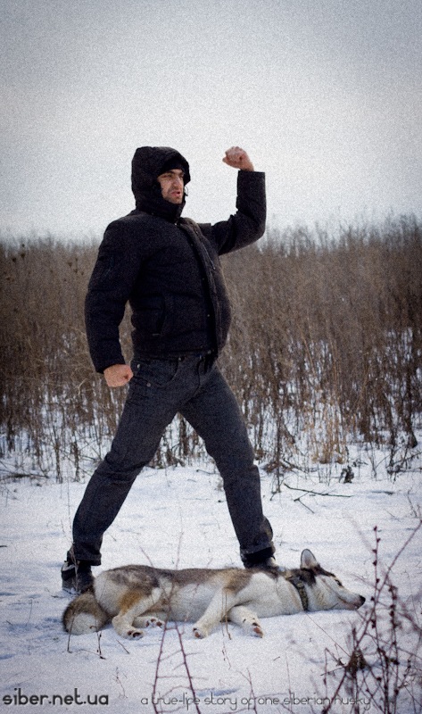 Дмитрий Башкатов фотография #30