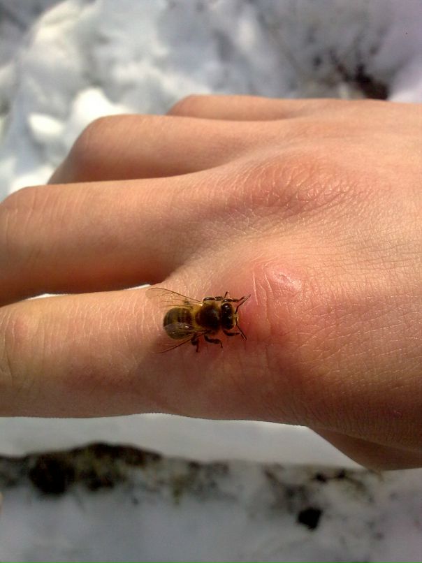 Дмитрий Федосеев фотография #26