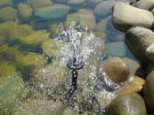 Кейт =) фотография #18 (источник - https://vk.com/id120276117)