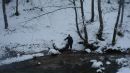 Андрій Багінський фотография #6 (источник - https://vk.com/id52545570)