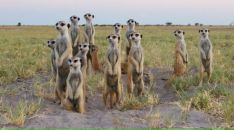 Фотография Фоменко Лены