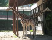 Фотография Нагорный Михаил