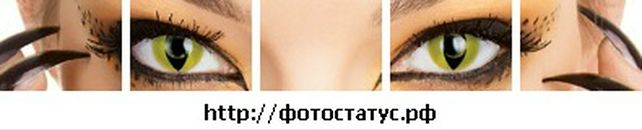 Роман Лепіш фотография #21 (источник - https://vk.com/id14105612)