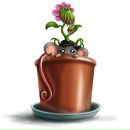 Владік Синичка фотография #8 (источник - https://vk.com/id96390611)