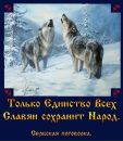 Фотография Шишкова Светлана