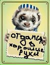 Фотография Олеси Олеси