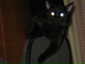 Фотография Khassanov Nariman