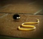 Фотография Тычкова Владимира