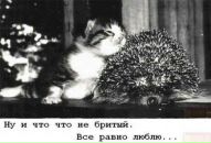 Ірина Виклюк фотография #38 (источник - https://vk.com/id109559763)