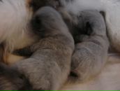 Фотография Поликарповой Елизаветы